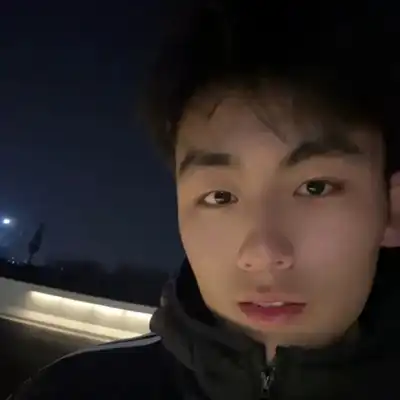 段巧